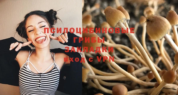 PSILOCYBIN Алзамай