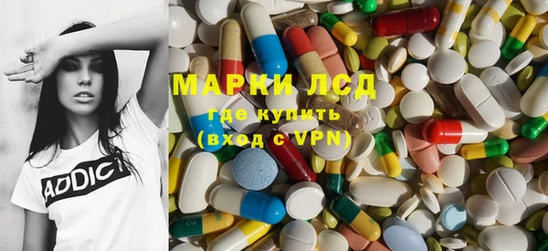 PSILOCYBIN Алзамай
