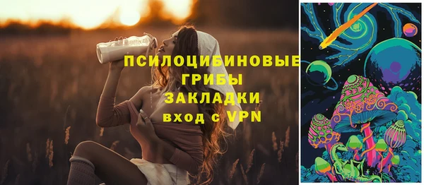 PSILOCYBIN Алзамай