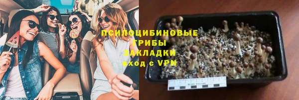 PSILOCYBIN Алзамай