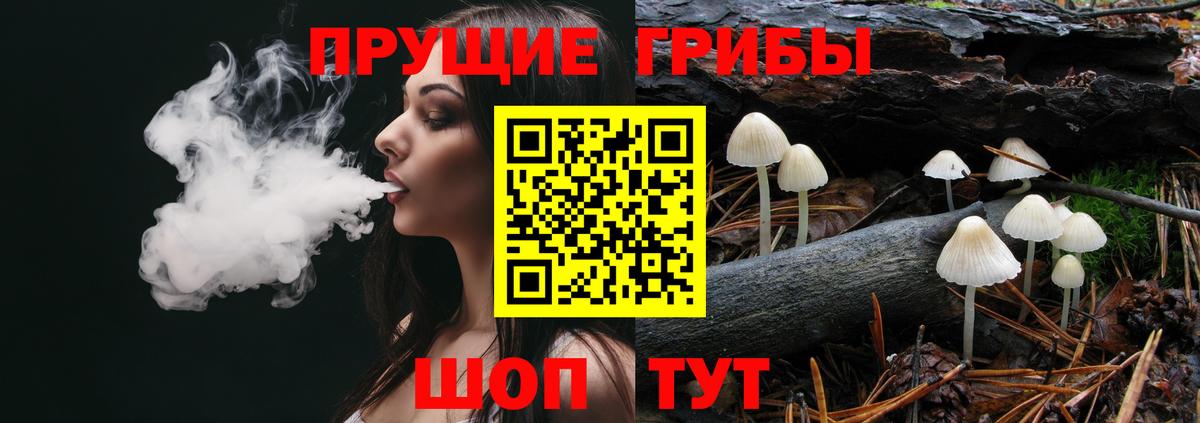 Галлюциногенные грибы Cubensis Ставрополь
