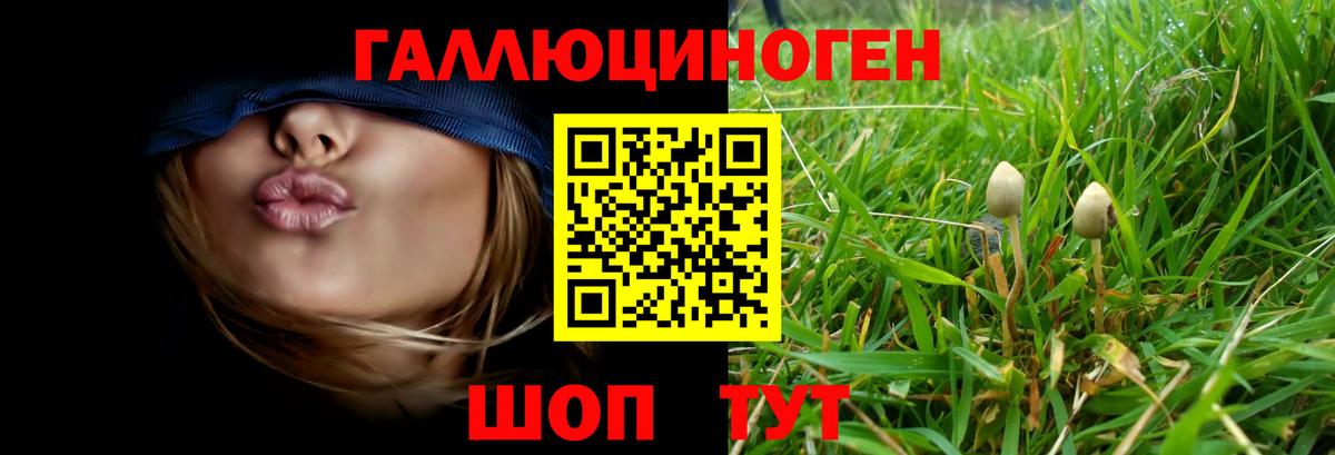 Ставрополь  Псилоцибиновые грибы мухоморы  Псилоцибиновые грибы прущие грибы  Вход с VPN 